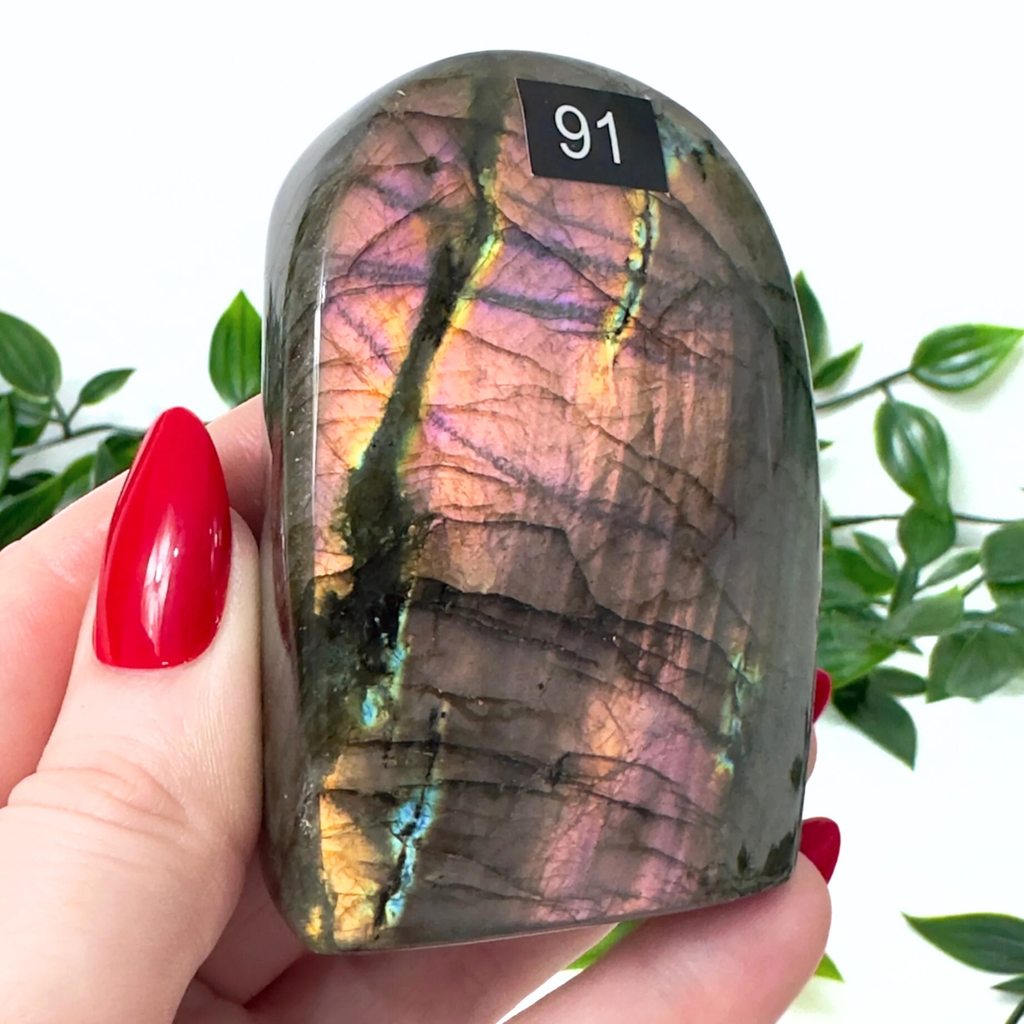Person holding a labradorite crystal with colorful patterns, surrounded by green leaves.