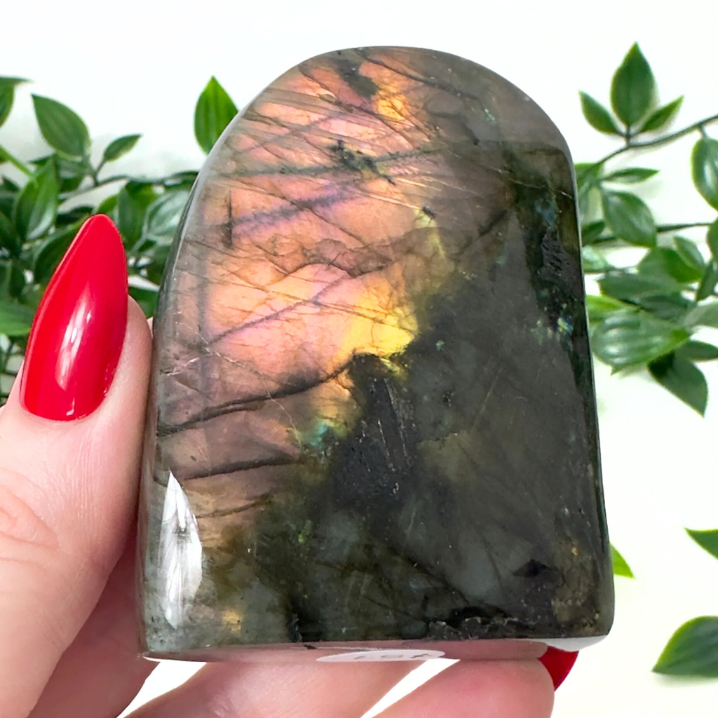 Labradorite stone held by a hand with red nail polish against a green leafy background