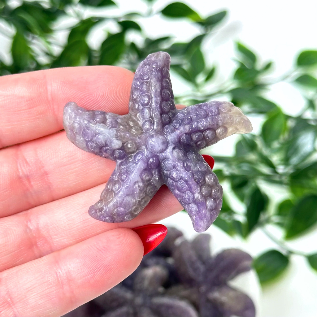 Lepidolite starfish crystal carving held in a hand with a blurred green plant background