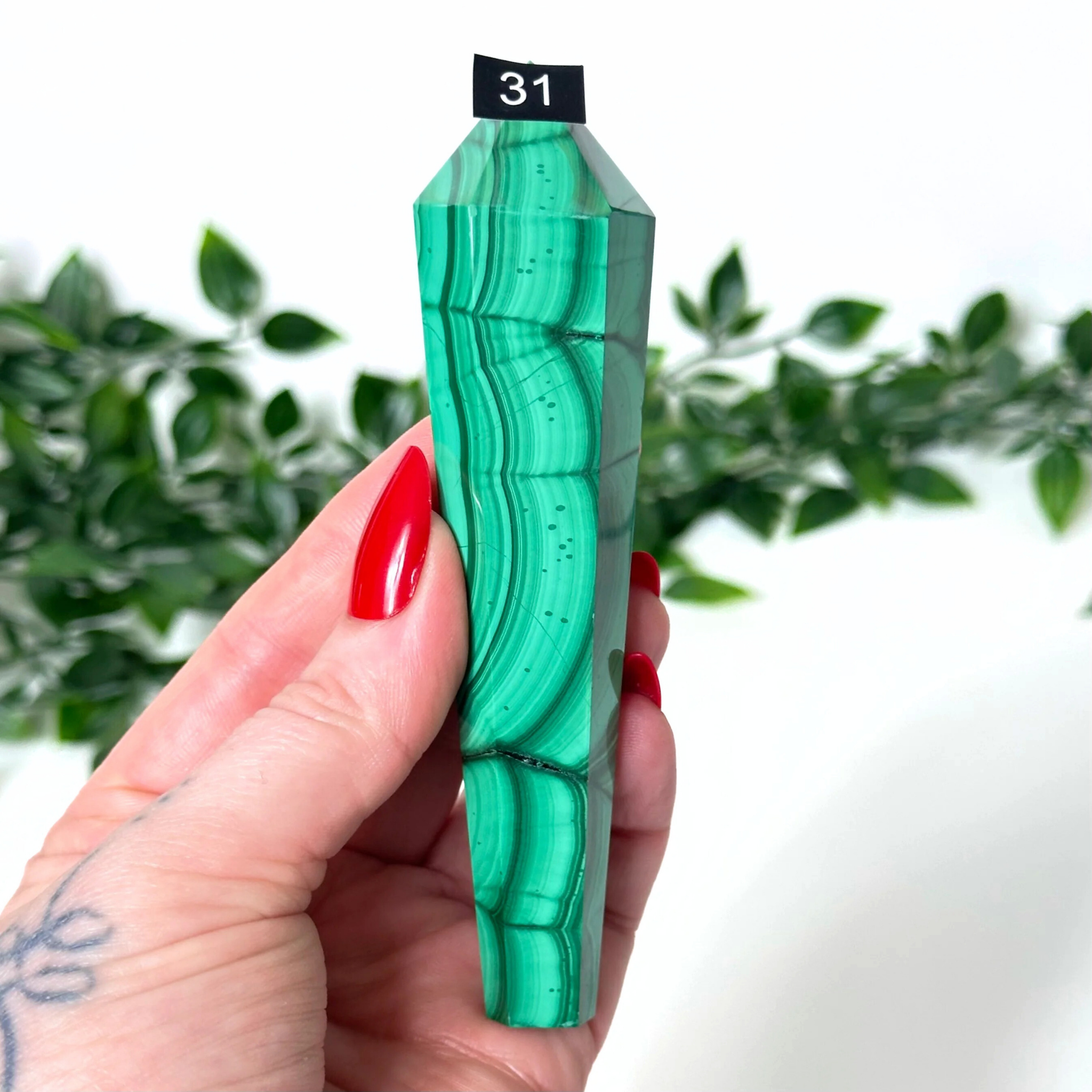 Hand holding a malachite crystal wand with a blurred plant background