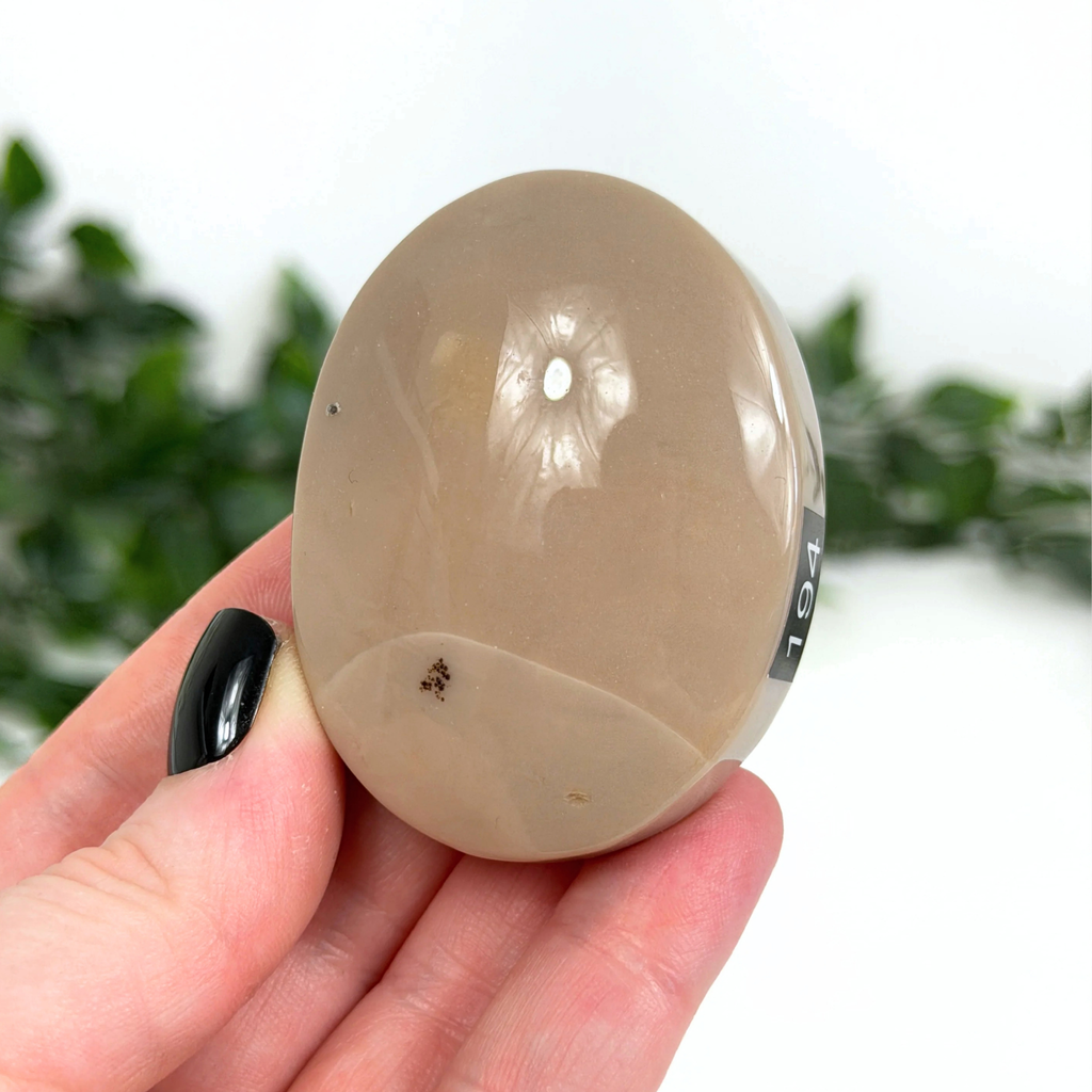Hand holding a beige mookaite palm stone with a blurred green background