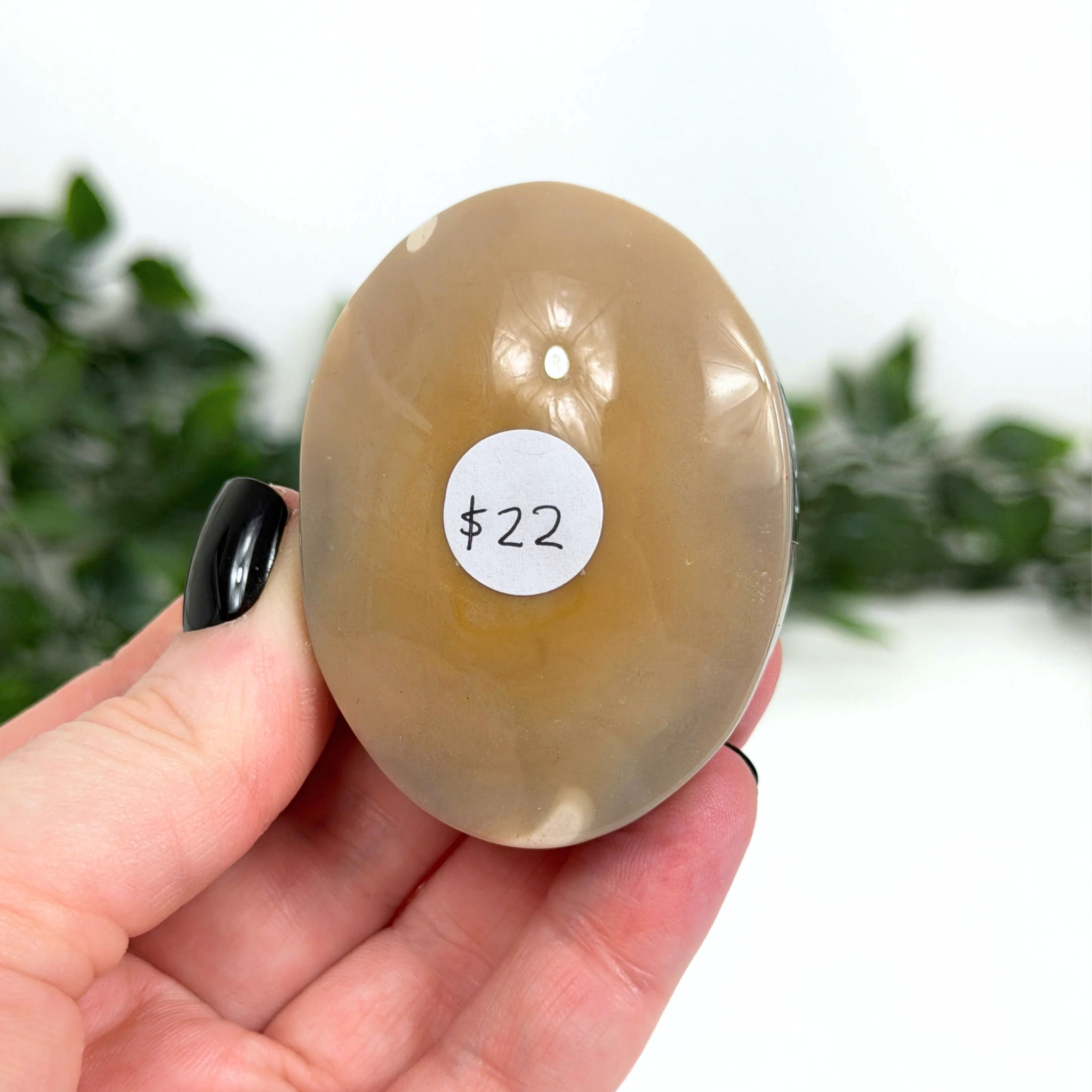 Hand holding a beige mookaite palm stone with a price tag of $22 against a blurred green background