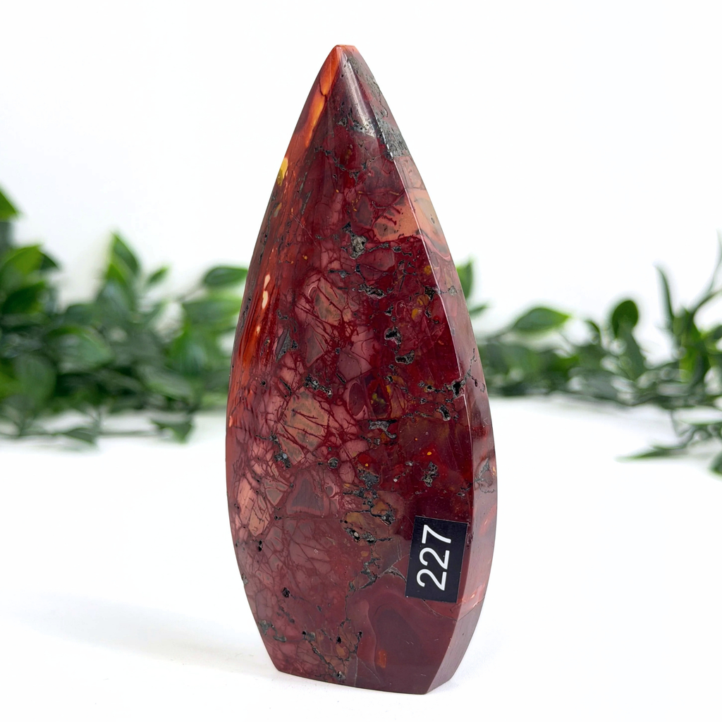 Teardrop-shaped red mookaite stone with '227' label on a white background with green foliage.