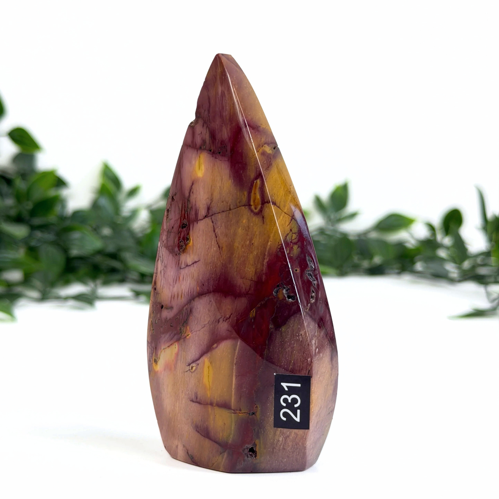 Polished mookaite stone with a marbled pattern and number 231 on a white background with greenery.