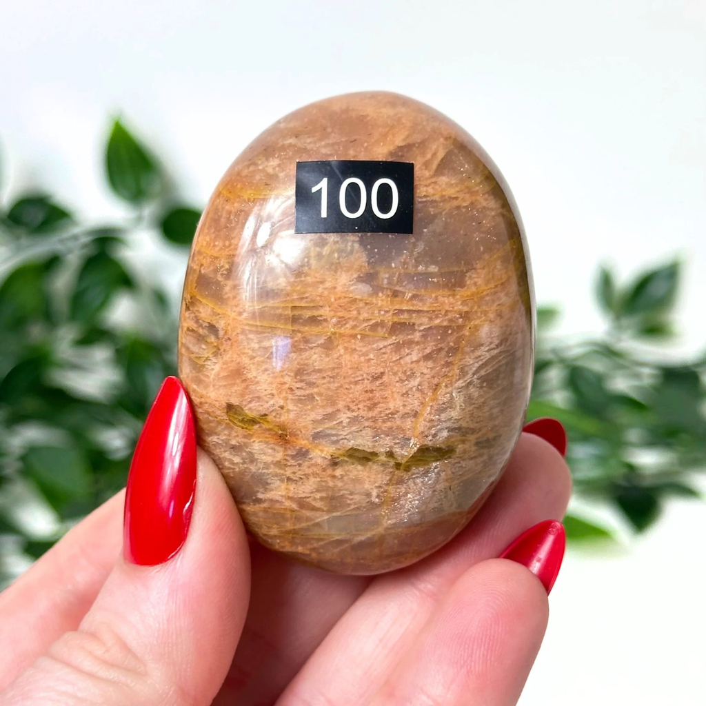 hand holding a moonstone crystal palm stone in front of a white leafy background