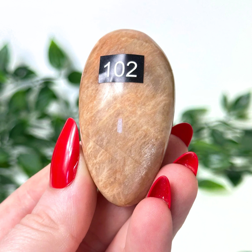 Moonstone crystal held in front of a white leafy background