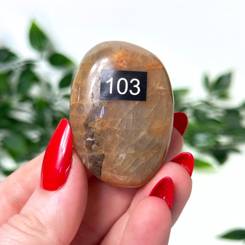 Hand holding a moonstone crystal palm stone against a leafy white background