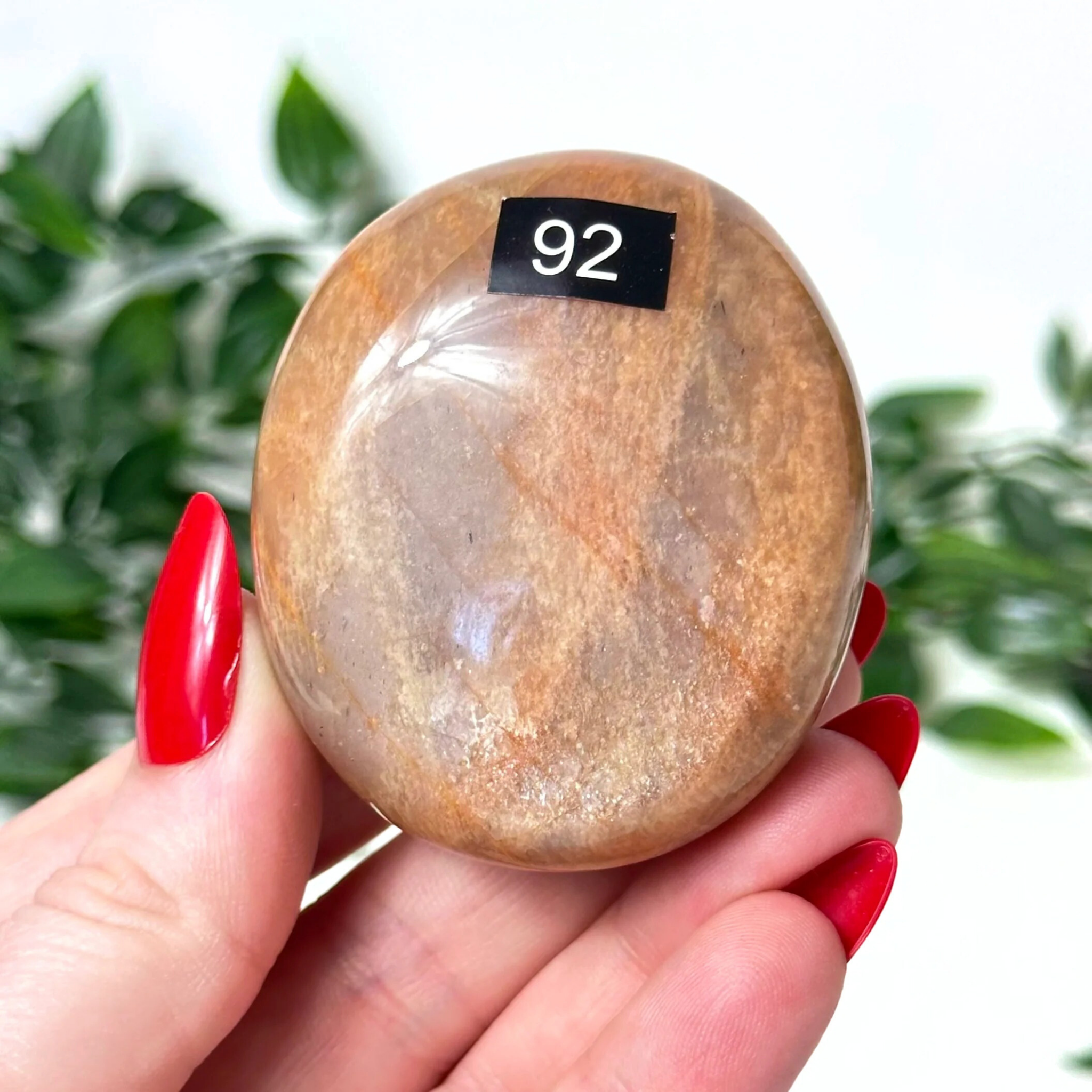 Moonstone crystal held in front of a white leafy blurred background