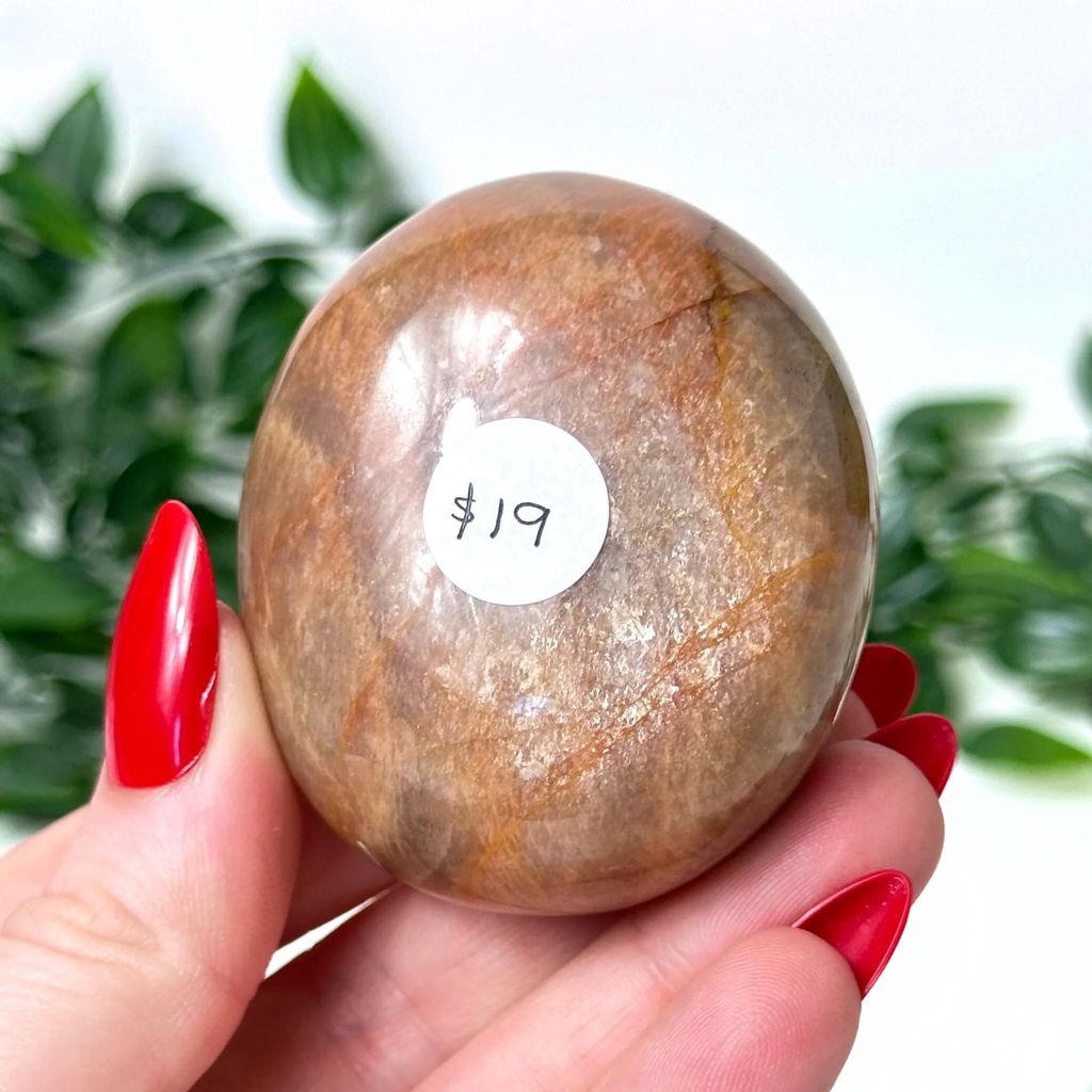 Moonstone crystal held in front of a white leafy blurred background