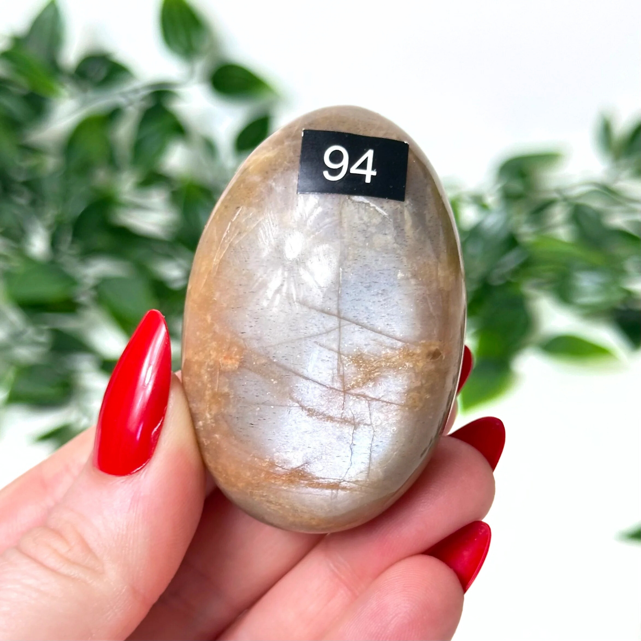 Oval-shaped moonstone crystal held by a hand with red nails, against a blurred green leafy background.