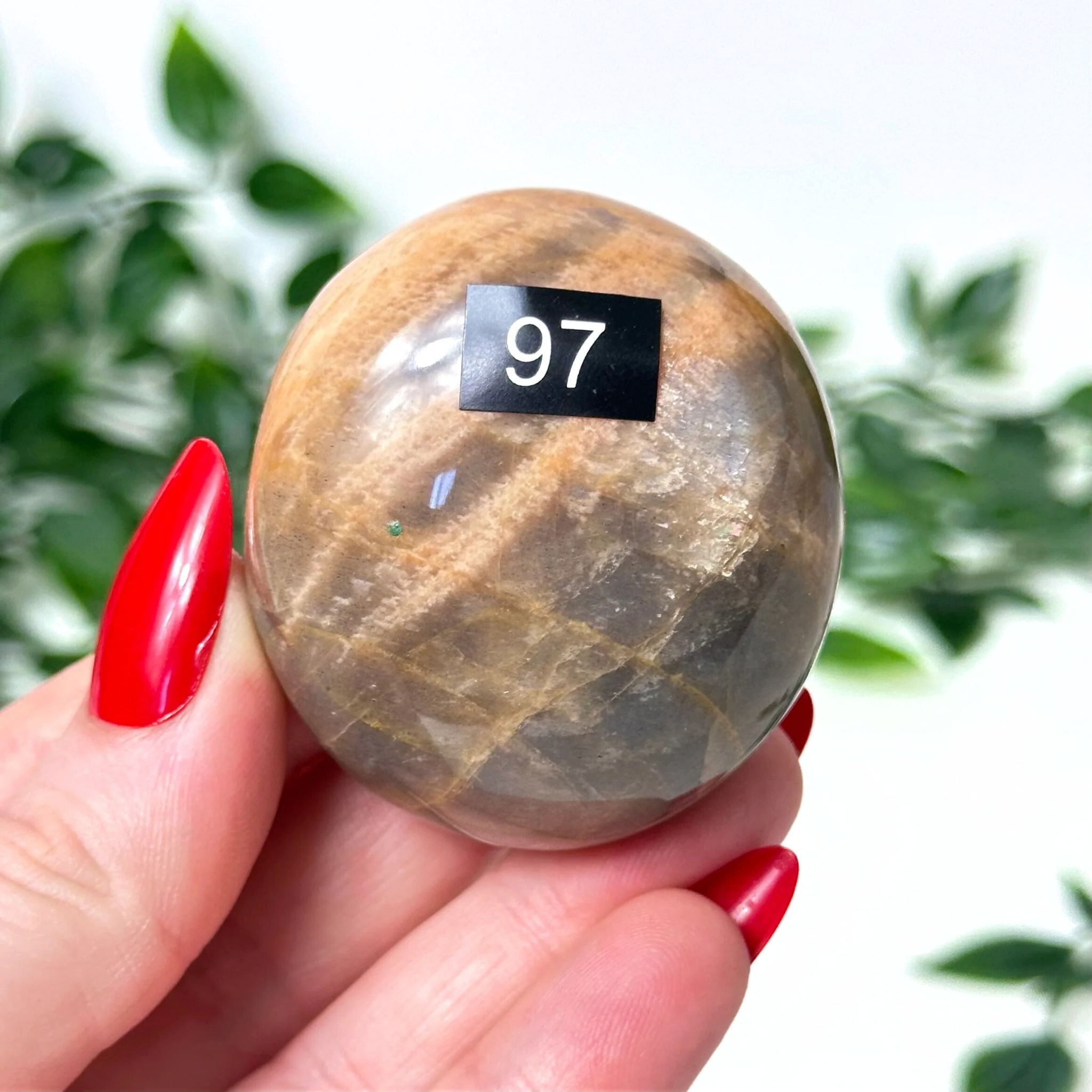 Hand holding a moonstone palmstone against a white leafy background