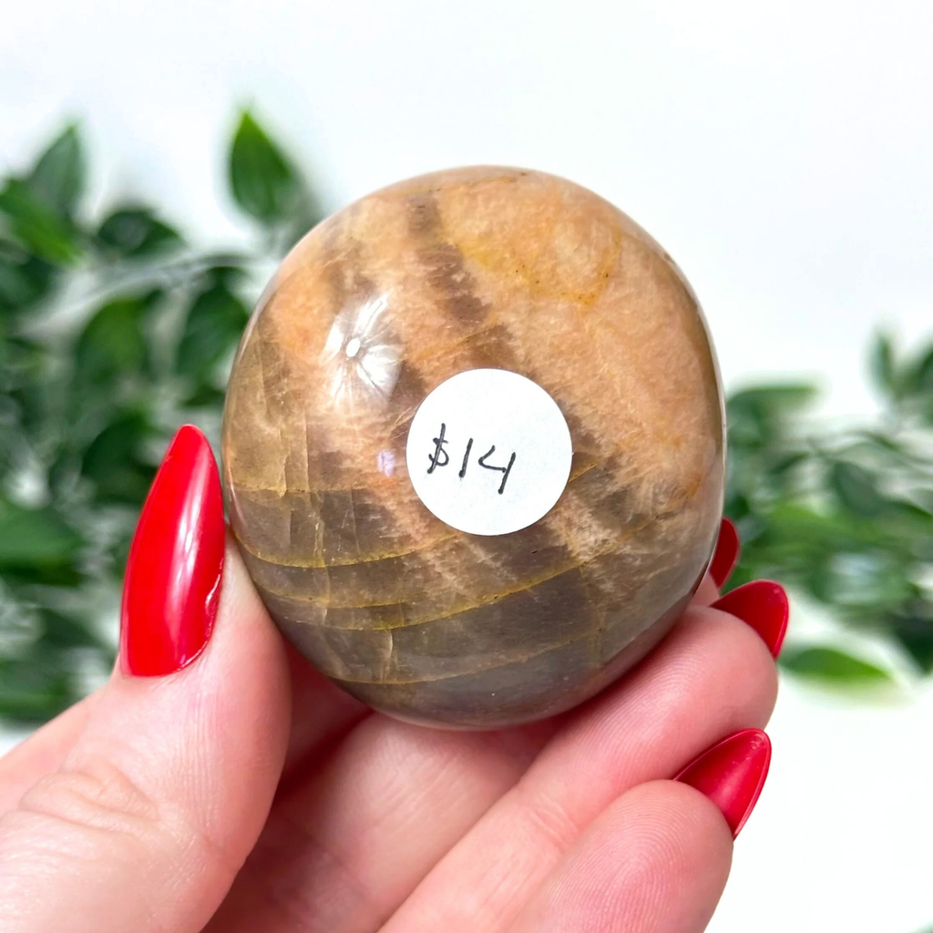 Hand holding a moonstone crystal palm stone against a white leafy background
