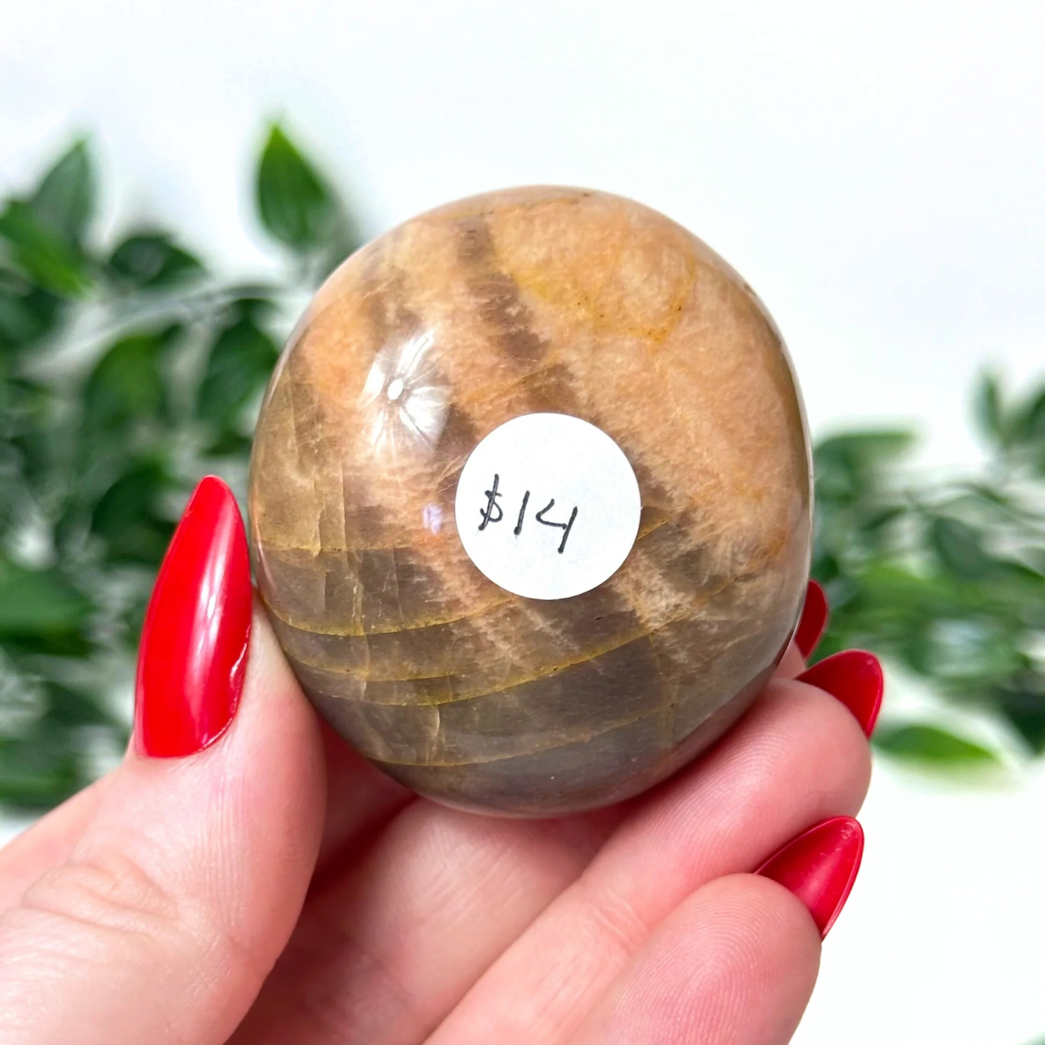 Hand holding a moonstone crystal palm stone against a white leafy background