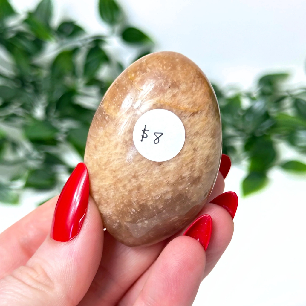 Hand holding a moonstone palm stone against a white leafy background