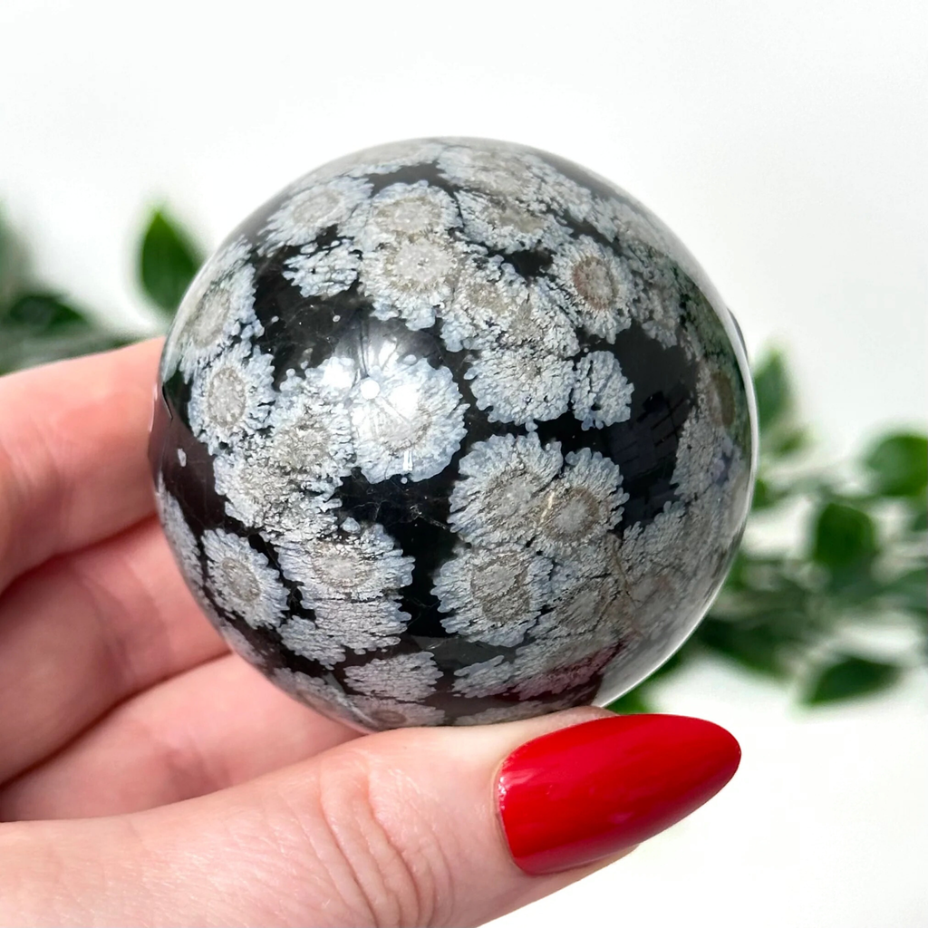 Person holding a snowflake obsidian crystal sphere with a blurred green plant background
