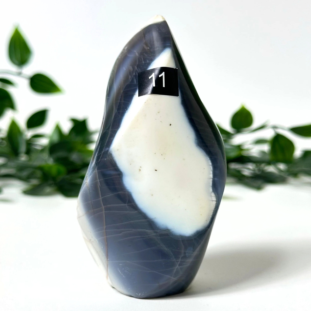 Orca agate crystal free form with a number 11 on a white background with green leaves.