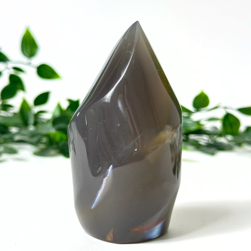 Orca agate crystal flame with a natural green leafy background