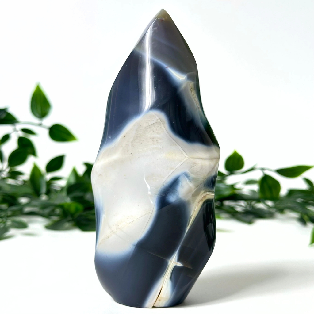 Decorative orca agate stone with blue and white patterns on a white background with green leaves.