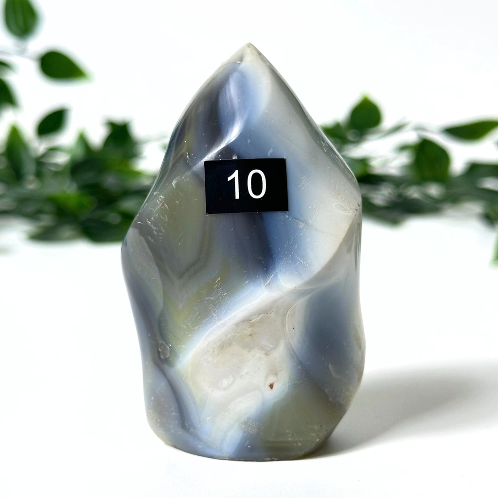Orca agate flame with a number 10 label against a blurred green plant background