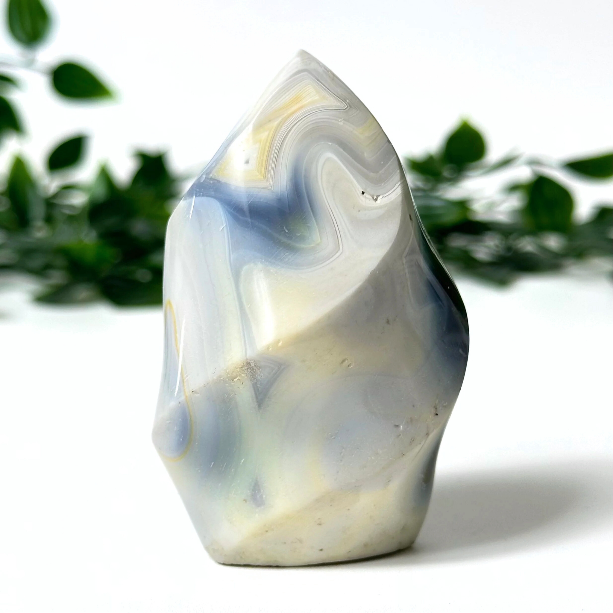 Orca agate flame with green leaves in the background