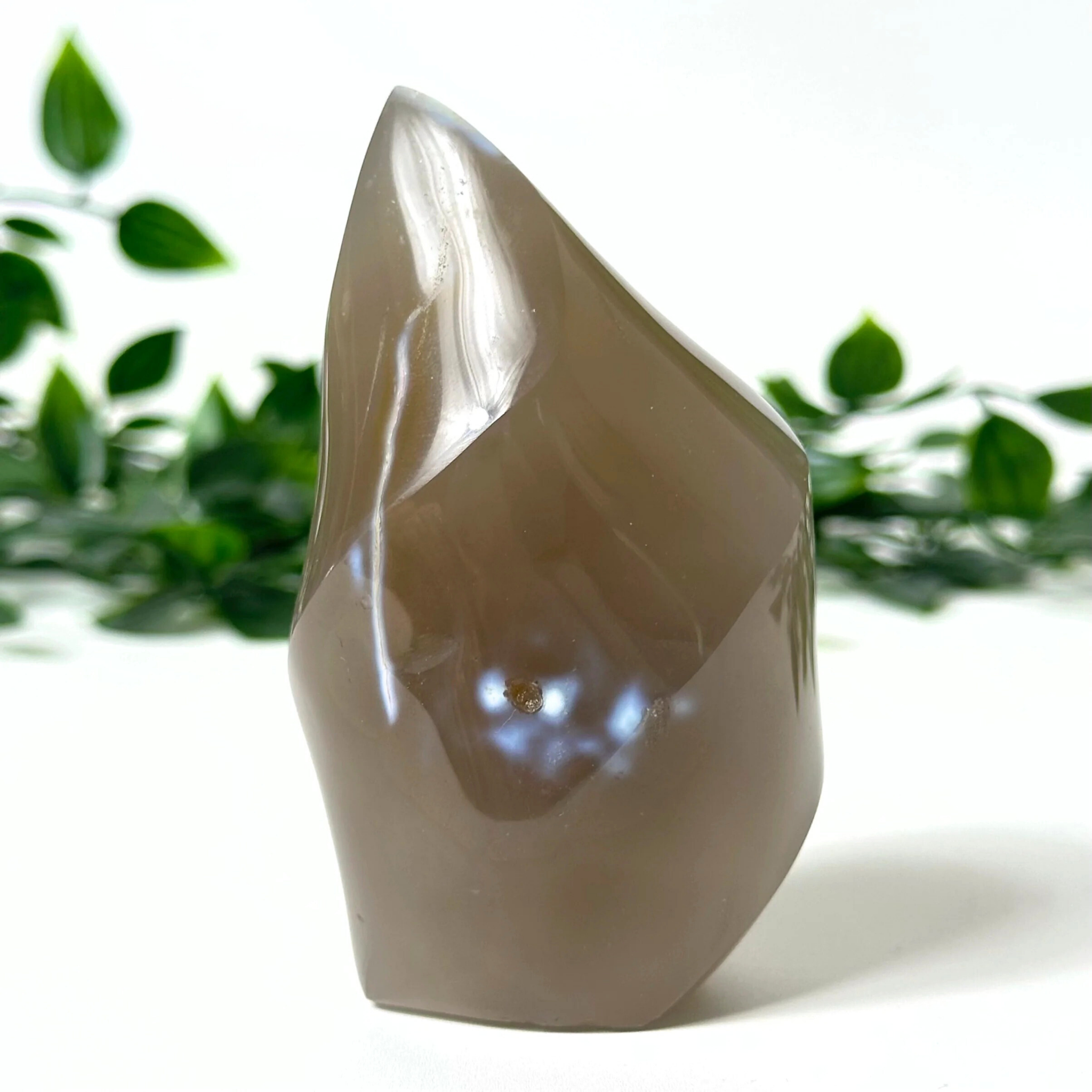 Polished orca agate crystal flame against a blurred green plant background