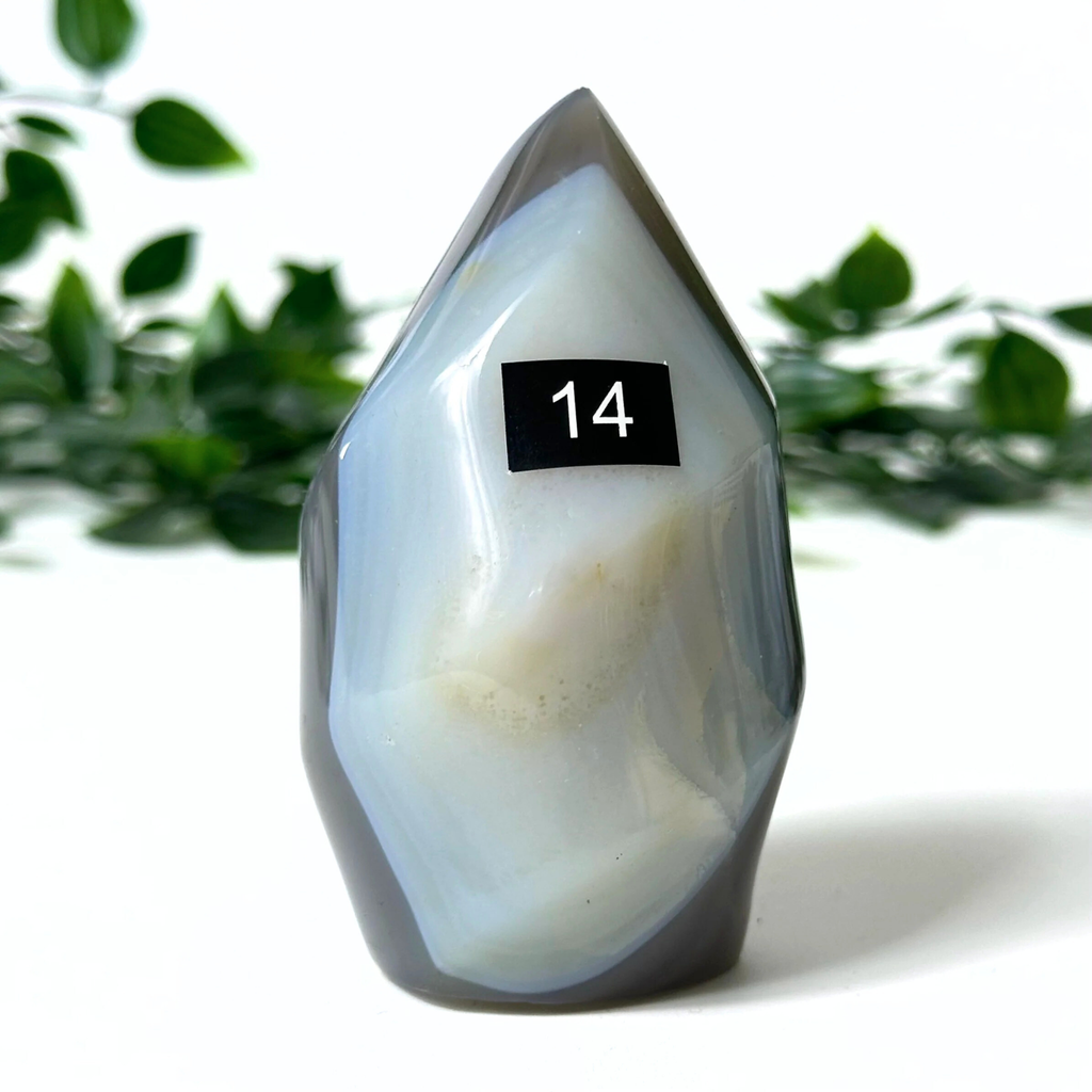 Polished orca agate flame with a number 14 label against a blurred green leafy background