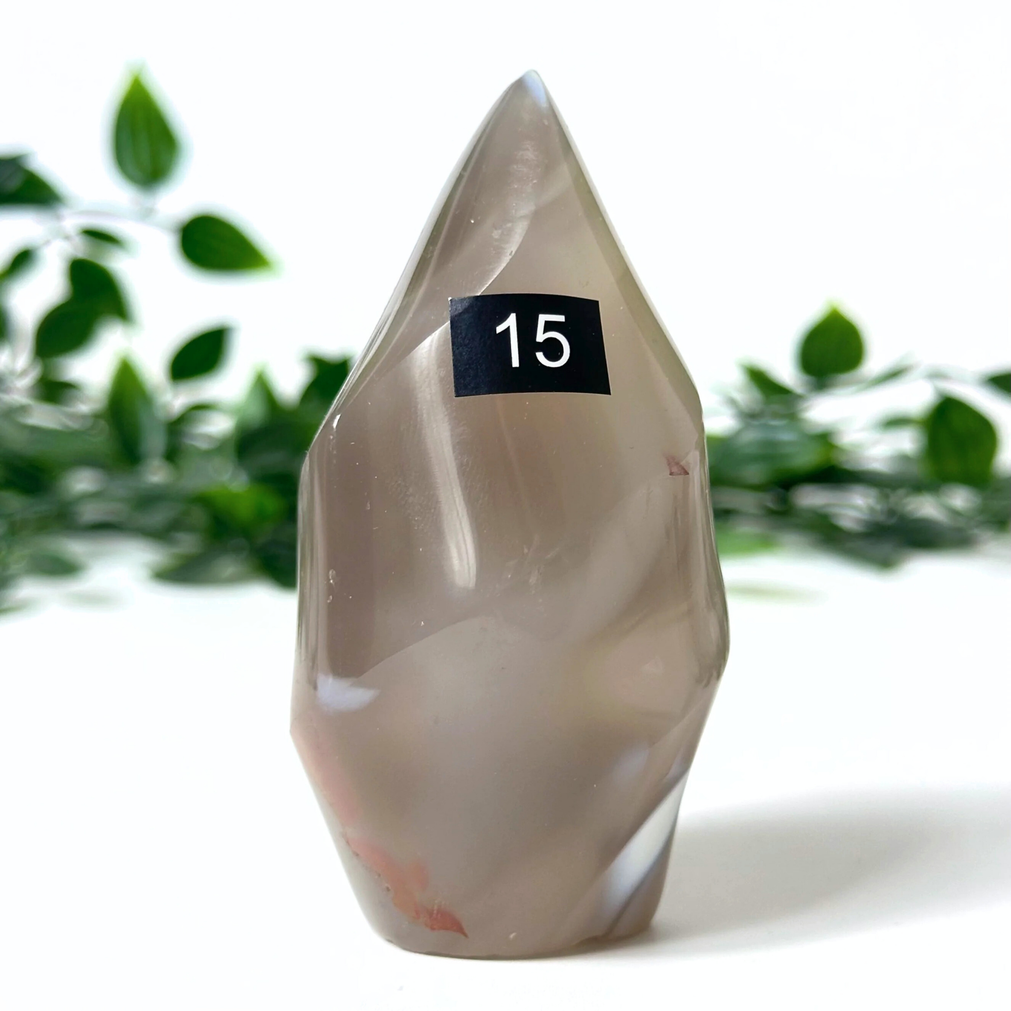 Polished orca agate crystal flame with a number 15 label against a blurred green leafy background