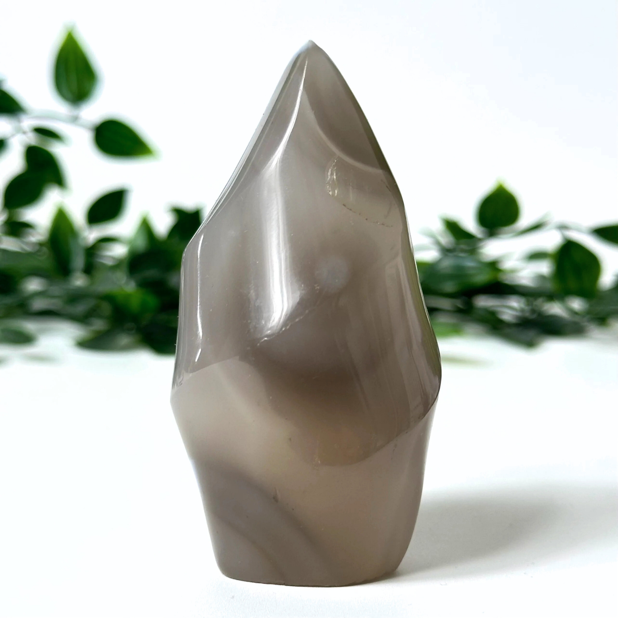 Polished orca agate crystal flame with a natural, faceted surface against a blurred green leafy background