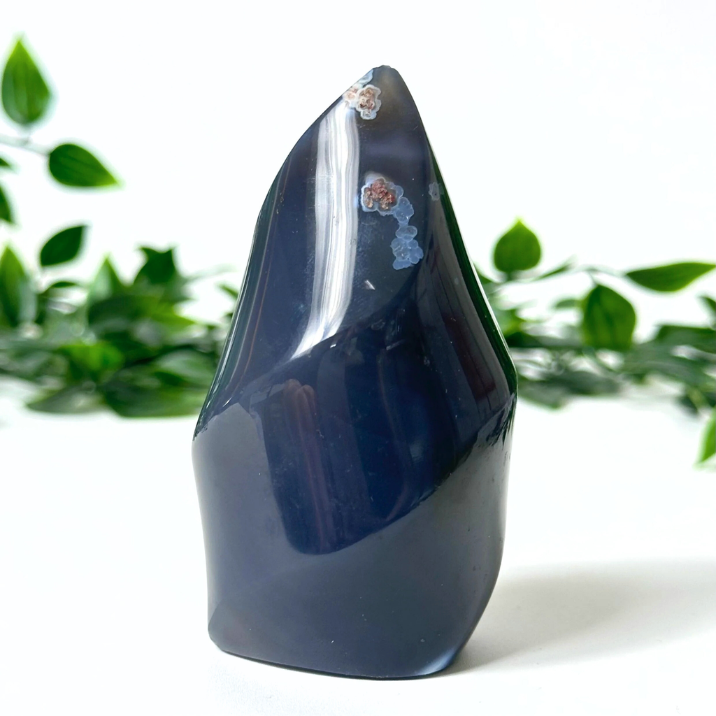 Polished orca agate crystal flame on a white background with green leaves.