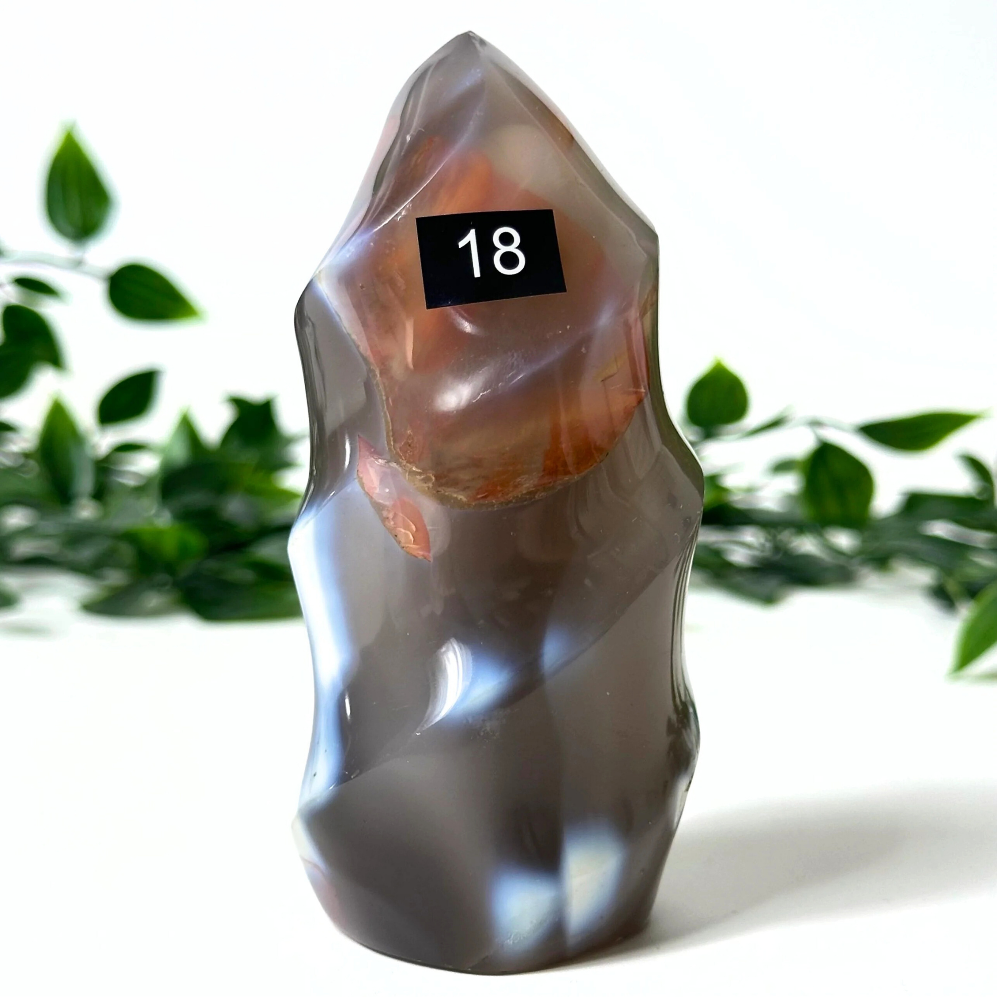 Polished orca agate crystal flame with a black number 18 label against a green leafy background