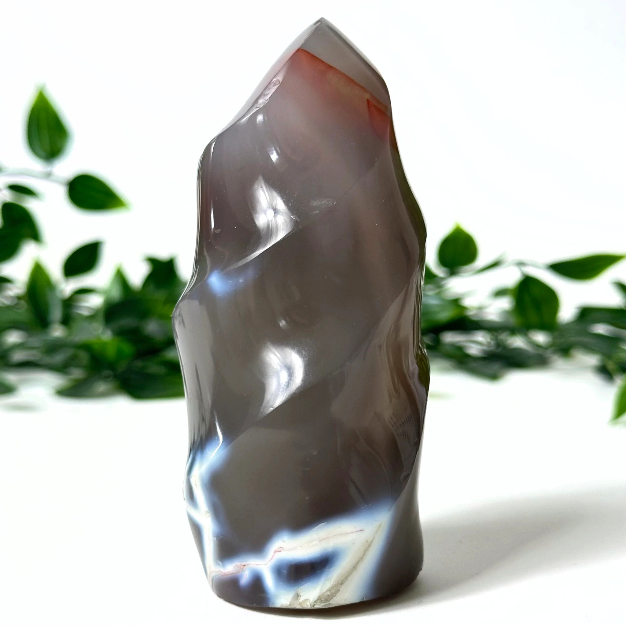 Polished orca agate crystal flame with a natural pattern on a white surface with green leaves in the background