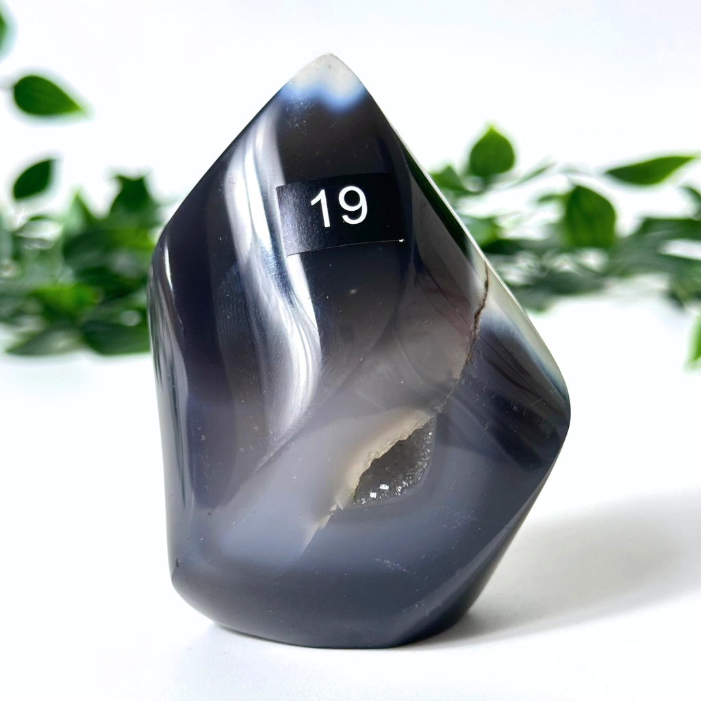 Orca agate flame with '19' marking on a white background with green leaves.