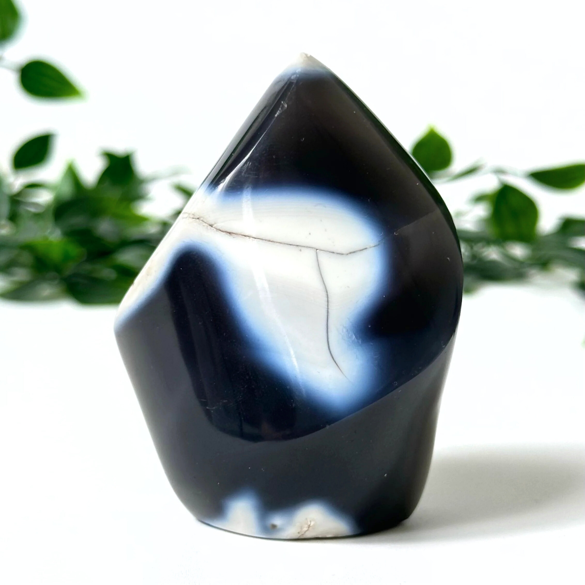 Orca agate flame with a natural pattern on a white background with green leaves.