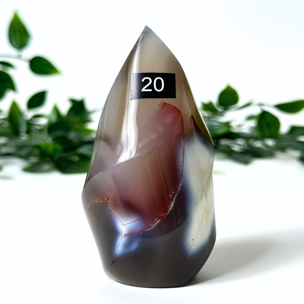Polished orca agate crystal flame on a white background with blurred leaves,