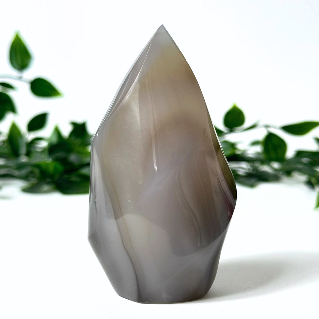 Grey-brown orca agate crystal flame on a white background with blurred leaves.