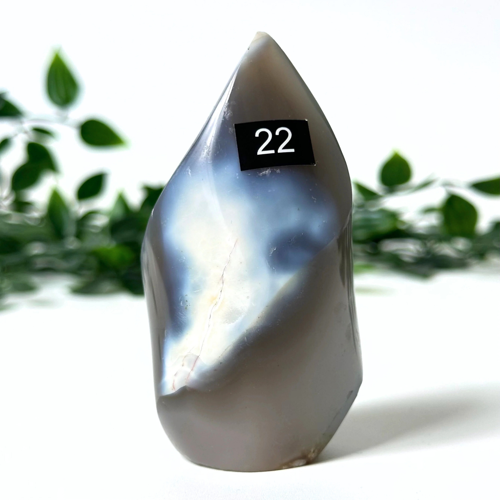 Orca agate crystal flame with a number '22' on a white background with green leaves.