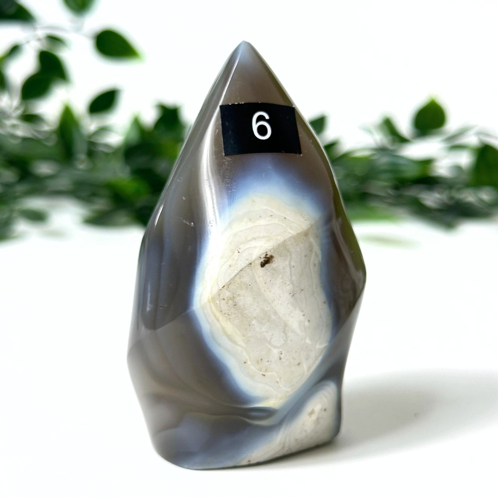 Orca agate flame with a number 6 label on a white surface with greenery in the background