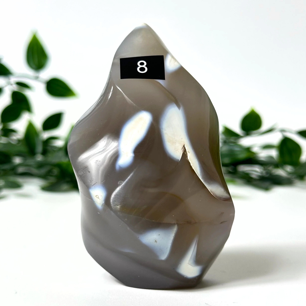 Orca agate crystal flame with a number 8 on a white background with green leaves.