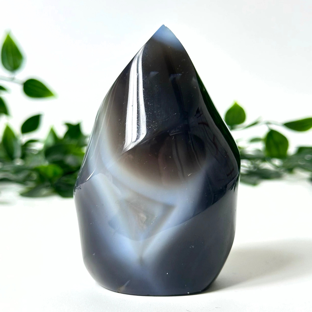 Polished orca agate crystal flame against a blurred green plant background