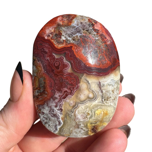 Mexican Agate Palm Stone E
