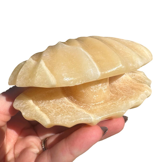 Orange Calcite Clam CL2
