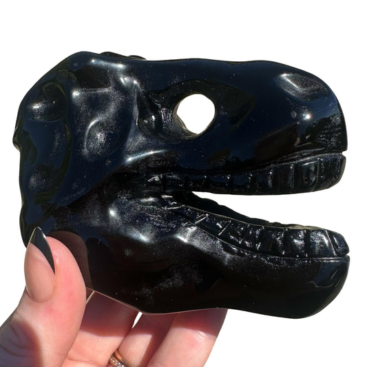 Obsidian T-Rex Skull