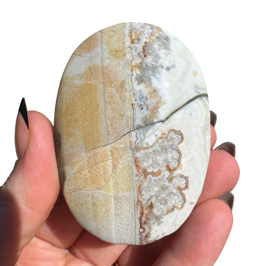 Mexican Agate Palm Stone F