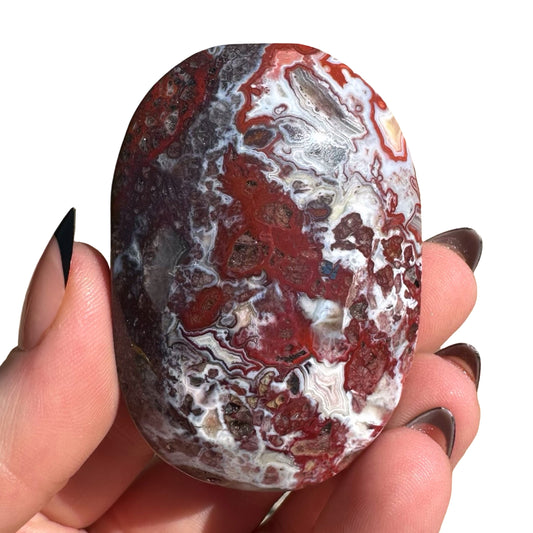 Mexican Agate Palm Stone A