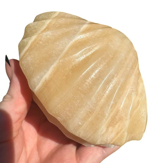 Orange Calcite Clam CL2