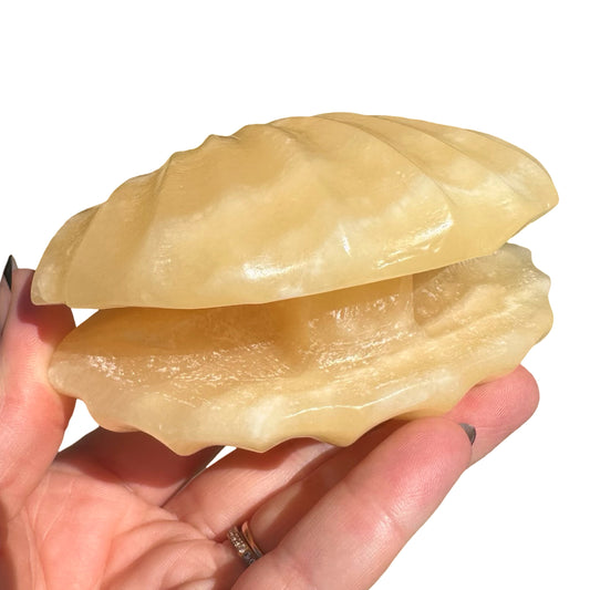 Orange Calcite Clam CL1