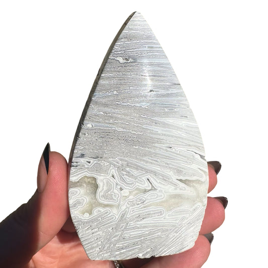 Mexican Agate Flame A5