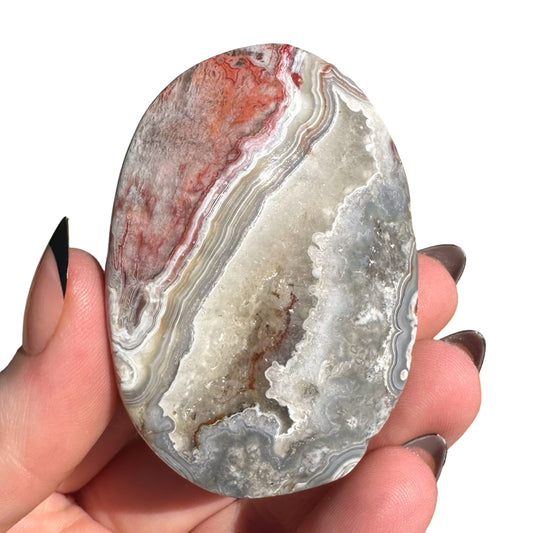 Mexican Agate Palm Stone D