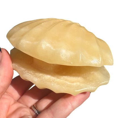 Orange Calcite Clam CL1