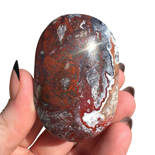 Mexican Agate Palm Stone J